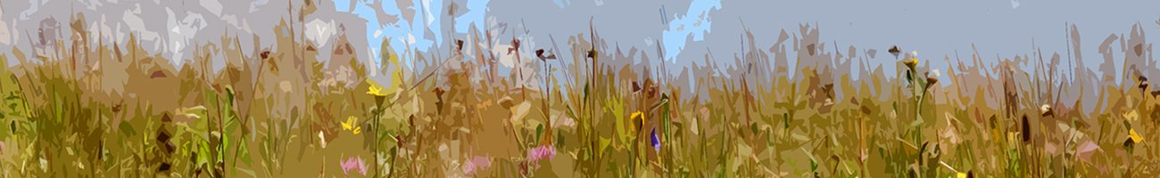 Demande de résolution de bug / amélioration interface